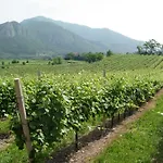 Aria Di Paratico