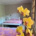 Aria Di باراتِكو