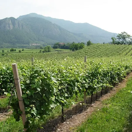 Aria Di Paratico