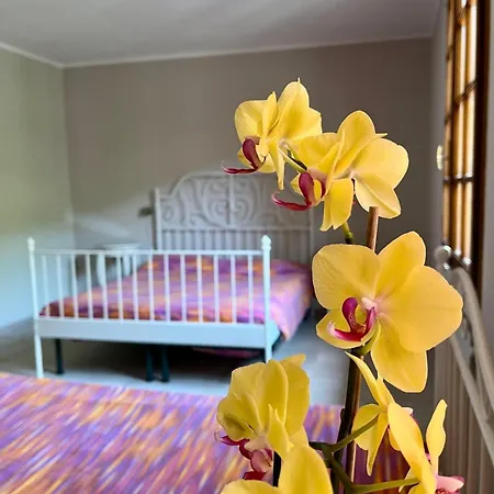 Aria Di パラーティコ