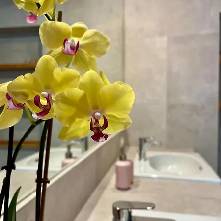 ベッド・アンド・ブレックファスト Aria Di