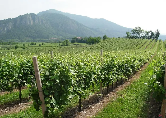 Aria Di Паратико